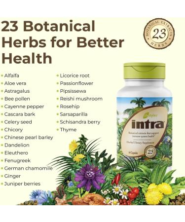 Intra Lifestyles Capsules - Herbal Supplement for Immune Support Detox Digestive & Cardiovascular Health 23 Botanical Extracts Made in Canada 64 Capsules (64 Capsules (Pack of 1)) 64 Count (Pack of 1) - Buy Online on GoSupps.com