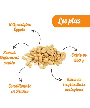 Organic Roasted Shelled Peanuts without Salt 500 g | 100% Natural Peanuts | Jumbo Peanuts | Healthy & Energizing Snack - Buy Online on GoSupps.com