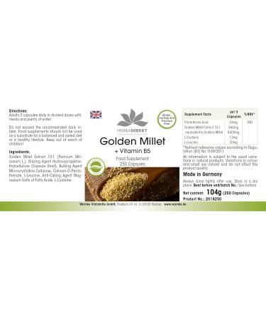 Golden Millet + Vitamin B5 Capsules - High-Dose Vegan Supplement - 250 Count | Warnke Vitalstoffe - Buy Online on GoSupps.com