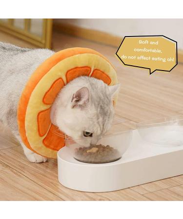 Soft Cat Recovery Collar Comfy Head Wound Healing Protective Collar for Cat Recovery After Surgery Adjustable Cute Neck Cone for Cats Kitten and Puppies(Orange S) - Buy Online on GoSupps.com