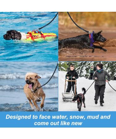 Vivifying 6m Waterproof Tow Line for Dogs with Padded Handle - Perfect for Recall Training Hiking Swimming Beach & Lake (Black) - Buy Online on GoSupps.com