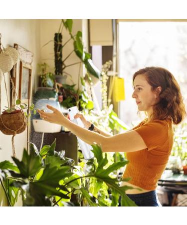 2 Pack 6.7oz Empty Continuous Spray Bottles - Ultra Fine Mister for Cooking, Cleaning, Hairstyling - Propellant Free - Clear 200ml - Buy Online on GoSupps.com