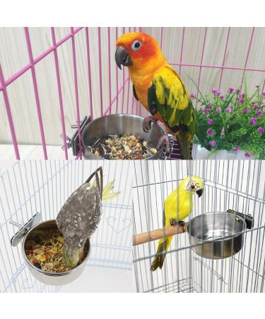 Zliger Stainless Steel Bird Bowl Set - 4 Feeding Cups for Parrots & Birds | Durable Food & Water Bowls - Buy Online on GoSupps.com
