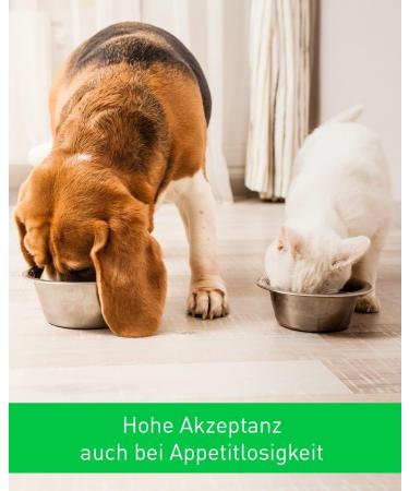 Vetoquinol Calo-Pet Paste Pack of 3 x 120g Paste Food Supplement for Dogs and Cats Use in Cases of High Nutritional Needs to Compensate for Deficiency Symptoms - Buy Online on GoSupps.com