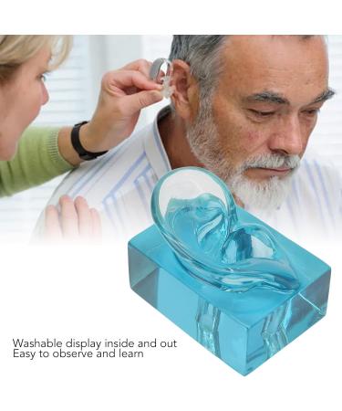 Acrylic Blue Transparent Right Ear Display Model - Waterproof Fake Ear for Sound Aids - Buy Online on GoSupps.com