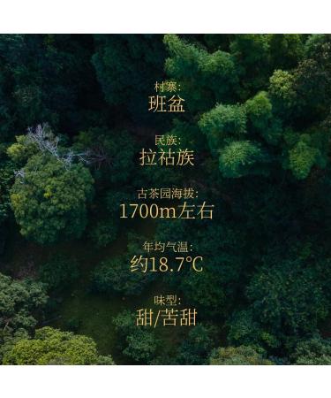 Rainforest Ancient Tree Banpen 2021 Raw Pu-Erh Tea Cake 357g Premium Yunnan Sheng Puerh Bold & Smooth - Buy Online on GoSupps.com