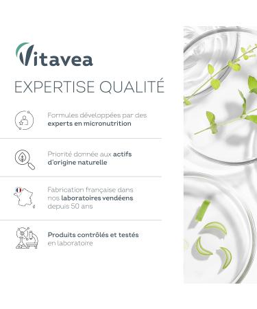 VITAVEA BIEN-ETRE - Pr paration minceur Expert Br leur graisses install es et Ventre plat - Programme Intensif 24h Jour / Nuit - Guarana Menthe poivr e Chrome - 20 sachets - Fabriqu en France Expert Br le graisses Ventre plat et Capteur de sucres - Buy Online on GoSupps.com