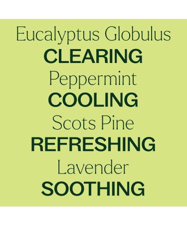 Buy Plant Therapy Respir Aid Essential Oil Blend 30 mL - 100% Pure & Natural Aromatherapy for Therapeutic Relief - Buy Online on GoSupps.com