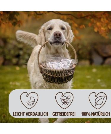 Petlove Grain-Free Meat Softies for Dogs | 63% Meat Content | Training Dog Treats | Strauss (3x200g) - Buy Online on GoSupps.com