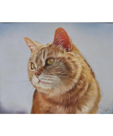 Clairefontaine PastelMat Paper Pack 5 Sheets - 24x32 cm Dark Grey - Buy Online on GoSupps.com