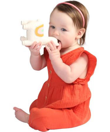Manhattan Toy Fruity Paws Lili Llama | 100% Natural Rubber Baby Teether - Buy Online on GoSupps.com