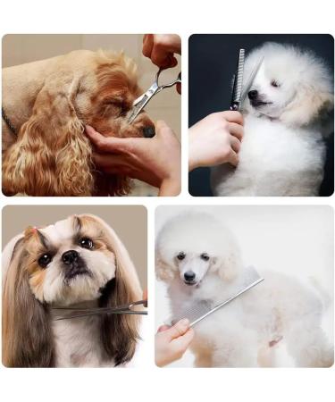 Premium Dog & Cat Fur Care Set | Stainless Steel Scissors & Grooming Cups for Happy Pets - Buy Online on GoSupps.com