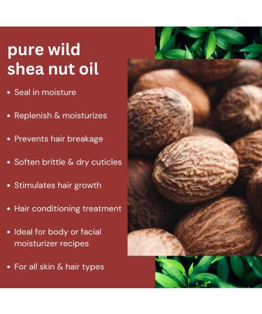 Wild Shea Nut Oil | 100% Pure West African Moisturizer for Hair Body & Face | Small Batch 2 Fl Oz | Natural Nourishing Oil - Buy Online on GoSupps.com