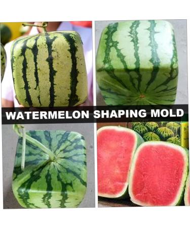 UKCOCO 2pcs Tool Vegetables Garden Shaping Molds Fruit Shaping Mould Pumpkin Ginseng Fruit Cucumber 15x15cmx2pcs Transparentx2pcs - Buy Online on GoSupps.com