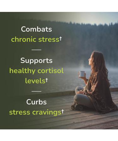 Vinco Inc - Stress Redux+ Advanced Adrenal & Cortisol Daily Supplement | (60 Capsules) | Reduce Stress & Fatigue | Supports Mood Balance Focus & Emotional Well-Being | Gluten Free - Buy Online on GoSupps.com