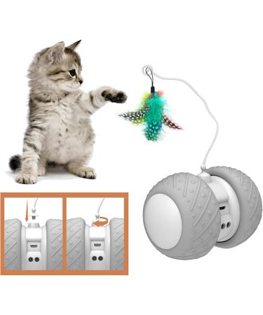 BENTOPAL Automatic Cat Feather Toy - Interactive Electric Exercise Toy for Indoor Cats & Kittens - Buy Online on GoSupps.com