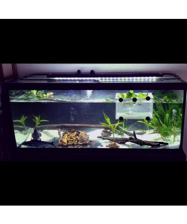 Large Fish Tank Breeder Net w/ Suction Cups | Nylon Mesh Aquarium Breeder Box for Fish Fry Hatchery & Breeding - Buy Online on GoSupps.com