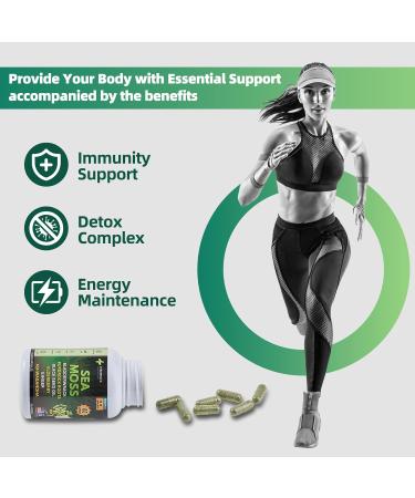 VITAMISTA Sea Moss Capsules 16-in-1 Sea Moss Supplement with Bladderwrack Burdock Root Black Seed Oil Ashwagandha Immune Support & Energy Booster 60 Vegan Capsules (19445mg) - Buy Online on GoSupps.com