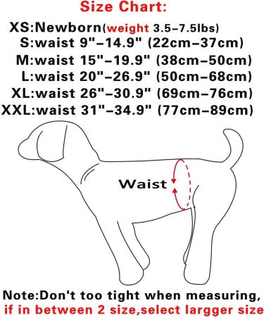 Joydaog Reusable Diapers for Small Dogs | Premium Belly Wrap Size XS | 4 Bright Colors | Pack of 4 - Perfect for Bitches - Buy Online on GoSupps.com