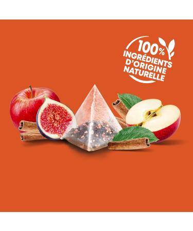 Elephant Infusion Apple Cinnamon and Fig Rainforest Alliance Certified 100% Natural Origin Ingredients 20 Pyramid Bag - Buy Online on GoSupps.com