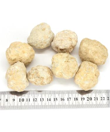 Natural Crystal Rough Unopened Natural Agate Geode Raw Quartz Mineral Energy Healing Crystals Rough Stone Cluster Cave Gemstones Collection Specimen (Size : 5PCS) - Buy Online on GoSupps.com