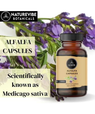 Naturevibe Botanicals Alfalfa Capsules - 180 Veg Capsules | 1000mg/Serving | Pure Herb Powder - Buy Online on GoSupps.com