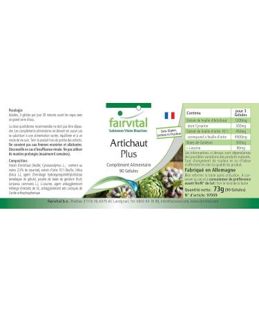 Fairvital | Artichoke Plus VEGAN - 90 capsules - with nettle extract 10:1 and juniper - Buy Online on GoSupps.com