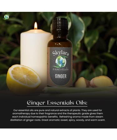 Pure Ginger Essential Oil for Calming Aroma Diffuser Candle Making | Long - Lasting Housewarming Gifts Thanksgiving and Christmas 10ml Ginger 10ml (0.33 Fl Oz) 0.33 Fl Oz (Pack of 1) - Buy Online on GoSupps.com