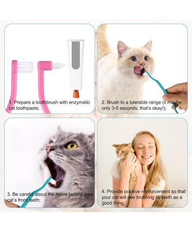Wheeleroa Cat Toothbrush Set - 2 Double-Sided Brushes for Deep Cleaning Kittens & Cats | Microba Head & Curved Handle | Green & Pink Accessories - Buy Online on GoSupps.com