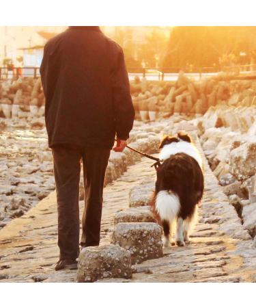 Durable Dog Tag Cable - Heavy-Duty 150ft Leash for Large Dogs up to 113kg - Sunset Chevron Zigzag Design for Outdoor Use - Buy Online on GoSupps.com