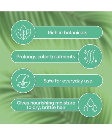 ShiKai Everyday Shampoo & Conditioner Set - Gentle & Moisturizing Formula for All Hair Types - Restores Damaged Hair - Botanical Rich (12 oz 2-Pack) - Buy Online on GoSupps.com