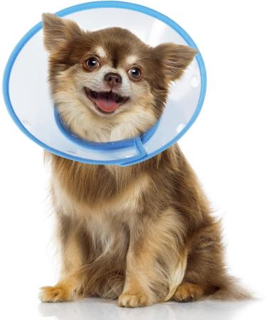 Vivifying Adjustable Pet Collar for Puppies & Small Dogs | Lightweight Protective Collar (Blue-L 20-24.5 cm) - Buy Online on GoSupps.com