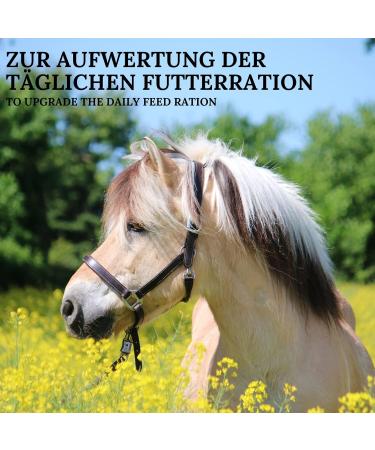 100% Natural Linseed Oil Boots for Horses - Cold-Pressed Rich in Omega-3 & Vitamins | 5L | Supports Fur & Skin Health - Buy Online on GoSupps.com