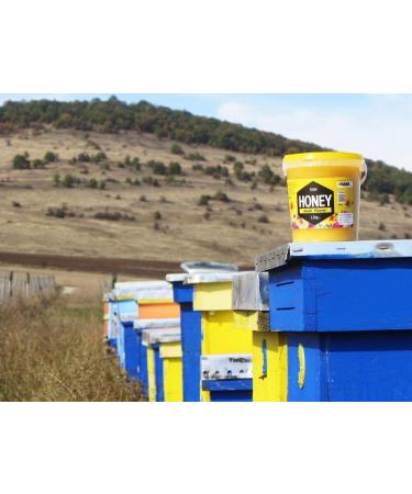 Bee Farm Organic Raw Unfiltered Honey 100% Original Multi Flowers 1.1kg - Buy Online on GoSupps.com