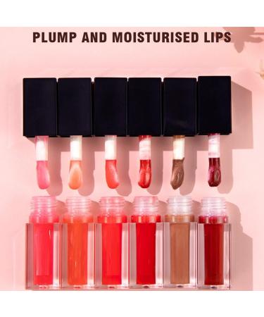 Buy 6 Color Hydrating Lip Glow Oil - Moisturizing Long Lasting No-Sticky Lip Plumper Gloss for Dry Lips (Color 04) | International Shipping - Buy Online on GoSupps.com