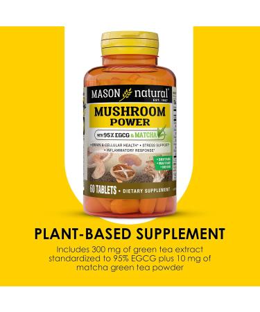 MASON NATURAL Mushroom Power with 95% EGCG and Matcha Plant-Based Formula with Shiitake Maitake Reishi 60 Tablets 60 Count (Pack of 1) - Buy Online on GoSupps.com