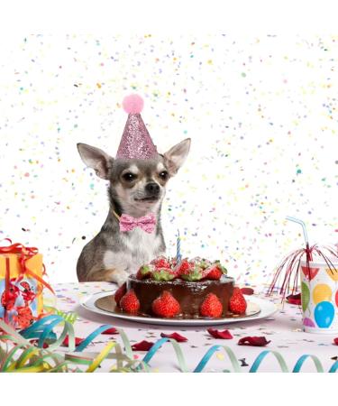 Dog Birthday Hat & Collar Set - Reusable Light Blue Party Accessories for Pets - Perfect for Puppies & Cats - Buy Online on GoSupps.com