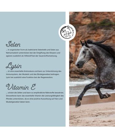 Annimally Selen - Premium Vitamin E Lysine & Selenium Powder for Horses | 800g Muscle & Performance Support Supplement - Buy Online on GoSupps.com