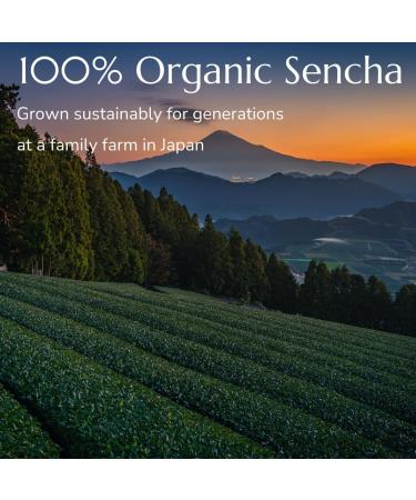 Anna's Teapot Organic Sencha Tea Bags | Premium Japanese Green Tea | 20 Organic Sencha Green Tea Bags Individually Wrapped for Easy Preparation 1 Count (Pack of 20) - Buy Online on GoSupps.com