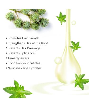 SHIFAKOU Jamaican Black Castor Oil for Hair Growth - 2oz | Cold Pressed, Pure & Natural | Eyelashes, Eyebrows, Hair Regrowth Treatment - Skin & Nails - Buy Online on GoSupps.com