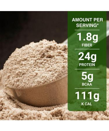INLIFE Plant Protein Powder - 25g Protein from Pea Quinoa & Brown Rice - Chocolate Flavor with Ashwagandha Green Tea & Grape Seed Extract - 500g International Shipping - Buy Online on GoSupps.com