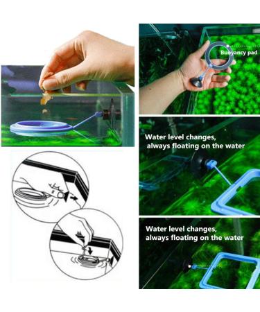 Fish Feeding Ring - Blue Floating Food Feeder with Suction Cup for Aquarium - Ideal for Guppy, Betta, Goldfish - Square and Round Shape Fish Tank Towels - Buy Online on GoSupps.com