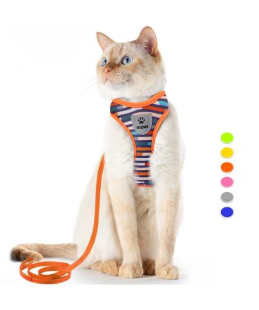 Supet cat dishes and leash set of faith -safe kittens. Cat crockery.
