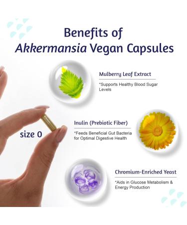 ATLEMISME Akkermansia muciniphila 300 B TFU + Mulberry Leaf DNJ Extract + Chromium Enriched Yeast + Inulin Prebiotic Vegan, High Temp Stable Synbiotic for Health (30 Capsules) - Buy Online on GoSupps.com