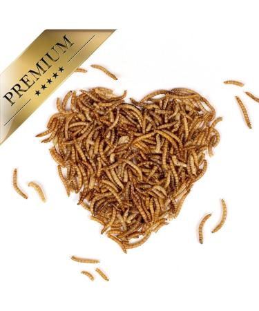 Lyra PET 2kg Dried Mealworms - Nutritious Protein Feed for Wild Birds Rodents Reptiles & Fish | Energy & Vitamins Included - Buy Online on GoSupps.com