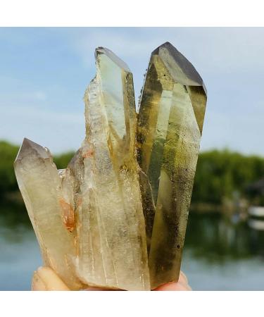 100G Natural Citrine Cluster Specimen Quartz Crystal Suitable for Home ERTEYIN - Buy Online on GoSupps.com