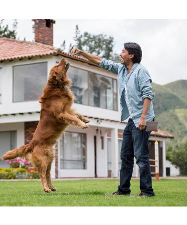 Buy Ouzhou 2-Piece Dog Treats & Training Bags | Free-Handed Feed Bag with Carabiner | Ideal for Walking & Training - Gray - Buy Online on GoSupps.com