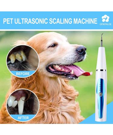 7Pcs Electric Dog Teeth Cleaning Kit for Easy Dental Care - Pet Tartar Remover & Ultrasonic Dental Cleaning Machine for Large & Small Dogs (Blue) - Buy Online on GoSupps.com