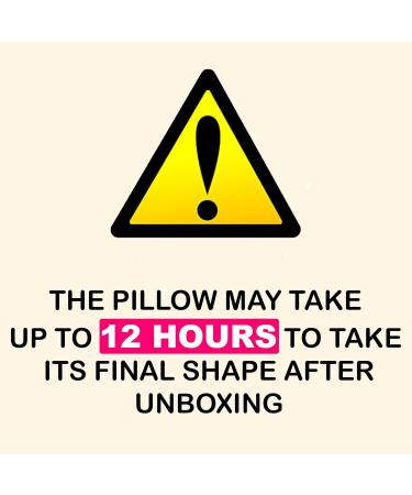 XOLLOZ Lash Bed Cover + Pillow | Waterproof Fitted Artificial Leather Spa Topper - Buy Online on GoSupps.com