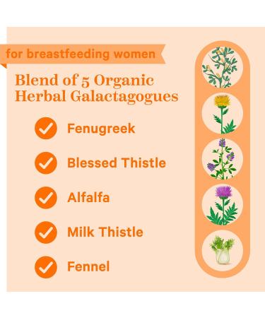 Pink Stork Total Lactation: Breast Feeding Essentials Lactation Supplements for Increased Breast Milk Women-Owned 60 Capsules - Buy Online on GoSupps.com